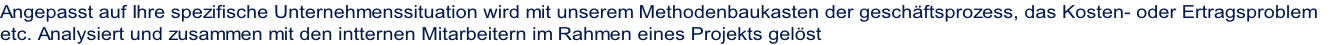 Angepasst auf Ihre spezifische Unternehmenssituation wird mit unserem Methodenbaukasten der geschäftsprozess, das Kosten- oder Ertragsproblem
etc. Analysiert und zusammen mit den intternen Mitarbeitern im Rahmen eines Projekts gelöst 