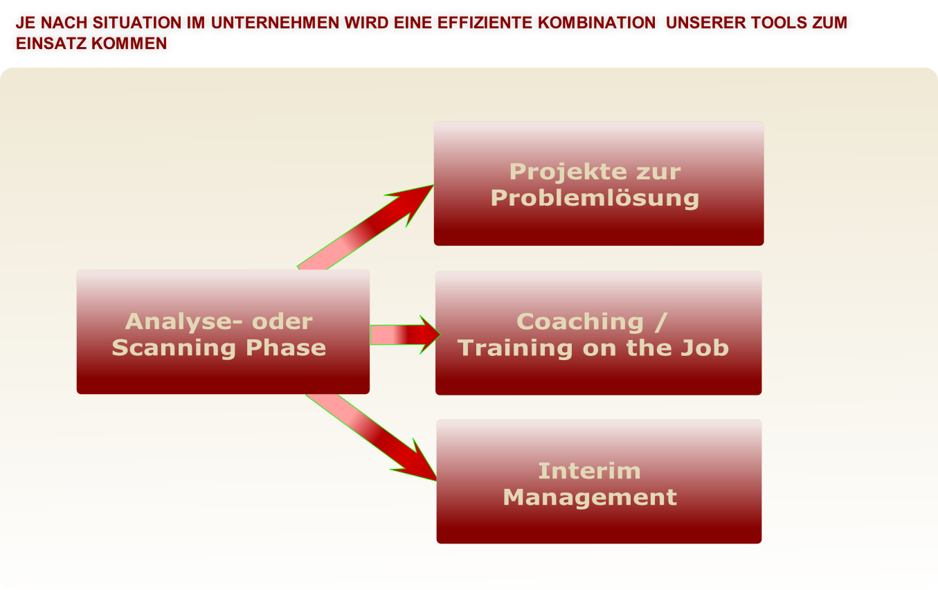 Analyse- oder 
Scanning Phase