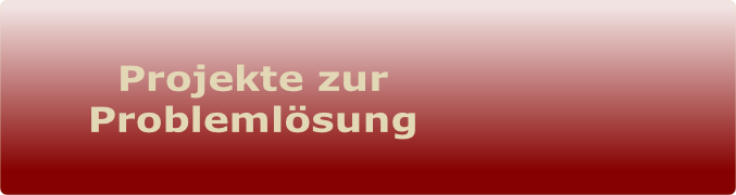 Projekte zur 
Problemlösung 